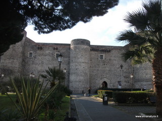 stello Ursino-12-03-2014 08-46-23